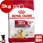 륫ʥ SHN ߥǥ  10+ 3kg4