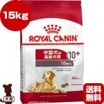 륫ʥ SHN ߥǥ  10+ 15kg