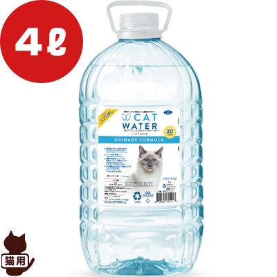 pHХ å  4L ե󥿥