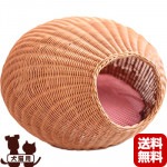 �饿�� ���å��ϥ��� �ϥˡ� ���󥷥�����ѥ�