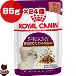 ������륫�ʥ� FHN-WET ���󥵥꡼ ����� 85g��24��