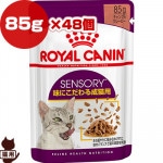 ������륫�ʥ� FHN-WET ���󥵥꡼ �ƥ����� 85g��48��