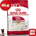 륫ʥ SHN ߥǥॢ4kg4