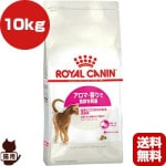 ������륫�ʥ� FHN ������ ������������� 10kg