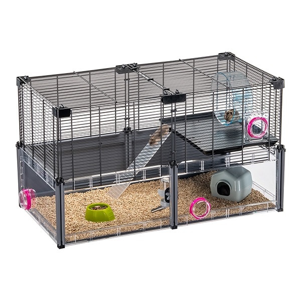 risubaco ハムスター　犬　2個セット　美品cocoriang 楽天市場】◇三晃商会 SANKO ルックルック フォーチュン (ミニ
