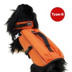 PFI �ե����ƥ��󥰥٥��� Type-S ������å� ī���ù� ����̵��