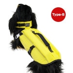 PFI �ե����ƥ��󥰥٥��� Type-S ���� ī���ù� ����̵��