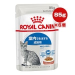 ������륫�ʥ� FHN-WET ����ɥ� ���졼�ӡ� 85g��6��