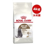 륫ʥ FHN  ƥ饤 12+ 4kg4 ̵