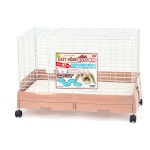 ���������ۡ��� ���� 80 �ԥ󥯥١����� �������� ����̵��