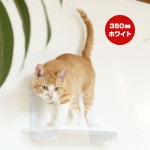 ����åȥ����ɥץ饹 ����åȥ��ƥå� �ۥ磻�� 350mm ���˥ޥ��� ����̵��