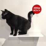 ����åȥ����ɥץ饹 �磻�ɥ��ƥå� �ۥ磻�� 450mm ���˥ޥ��� ����̵��