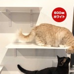 ����åȥ����ɥץ饹 ���󥰥��ƥå� �ۥ磻�� 600mm ���˥ޥ��� ����̵��