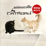 ����åȥ����ɥץ饹 ���󥰥��ƥå� �ۥ磻�� 900mm ���˥ޥ��� ����̵��