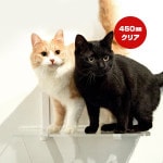 ����åȥ����ɥץ饹 �磻�ɥ��ƥå� ���ꥢ 450mm ���˥ޥ��� ����̵��