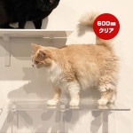 ����åȥ����ɥץ饹 ���󥰥��ƥå� ���ꥢ 600mm ���˥ޥ��� ����̵��