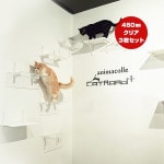 ����åȥ����ɥץ饹 �磻�ɥ��ƥå� ���ꥢ 450mm ���祻�å� ���˥ޥ��� ����̵��