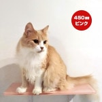 ����åȥ����ɥץ饹 ���顼���ƥå� �ԥ� 450mm ���˥ޥ��� ����̵��