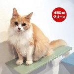 ����åȥ����ɥץ饹 ���顼���ƥå� ���꡼�� 450mm ���˥ޥ��� ����̵��