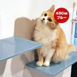 ����åȥ����ɥץ饹 ���顼���ƥå� �֥롼 450mm ���˥ޥ��� ����̵��