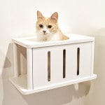 ����åȥ����ɥץ饹 ����åȥȥ�ͥ� �ۥ磻�� ���˥ޥ��� ����̵��