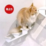 ����åȥ����ɥץ饹 ����åȥ���� ����� �ۥ磻�� ���˥ޥ��� ����̵��