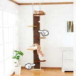 ����åȥ������� ����� ���ѥ�����å��ѥͥ� �ܥ�ӥ��륳��