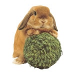 ���ä������ �����ܡ��� KAWAI