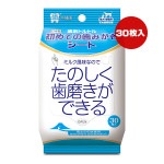 ȥȥ Ƥλߤ 30 ȡ饹