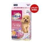 ò!!ۥǥ ýե쥰 ե륷ܥι 쥮顼 80 ˥㡼