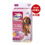 ò!!ۥǥ ýե쥰 ե륷ܥι 磻 404 ˥㡼