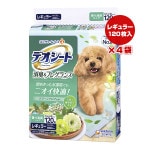 ò!!ۥǥ ýե쥰 ꡼󥢥ޤι 쥮顼 1204 ˥㡼