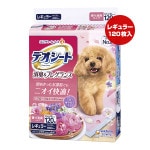 ò!!ۥǥ ýե쥰 ե륷ܥι 쥮顼120 ˥㡼