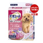 ò!!ۥǥ ýե쥰 ե륷ܥι 쥮顼1202 ˥㡼