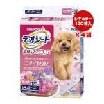 ò!!ۥǥ ýե쥰 ե륷ܥι 쥮顼1204 ˥㡼