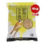 С ߡ ĻΤޤ 4kg2 饿