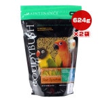 饦ǥ֥å ǥ꡼ƥʥ ߥ 624g2 饤 ̵