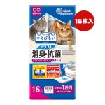 ���ꥨ���� ���ߤ��⤤ �ѥ�ե�ý������� �����ƥ�ȥ����� ������ ʣ���ͥ��� ���ܰ£����� 16������ �粦����