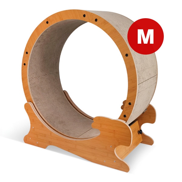 ϥåԡǥ åȥ˥󥰥ޥ  ڥåȥץ ̵