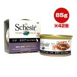 ������ ����å� �ĥʡ����̥� 85g��42�� �ե��󥿥������� ����̵��