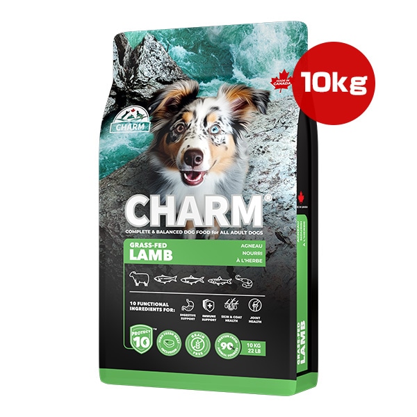 CHARM 草で育てたラム 10kg ドッグフード ドッグフード,CHARM(チャーム) | RunPet -ランペット- 本店
