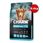 ���㡼�� �ץ��ƥ��ȥƥ� �Ρ��� ���ȥ��ƥ��å� ��������� �ե��å��� �ɥå� 5.4kg ����̵��