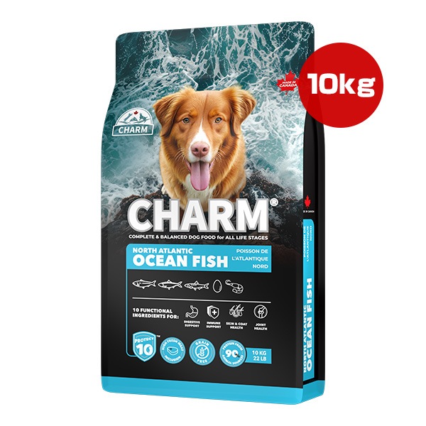 ドッグフード,CHARM(チャーム) | RunPet -ランペット- 本店
