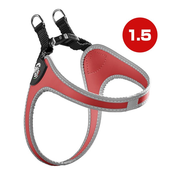 �ե��åӥ� ��ե쥯�ƥ��� 1.5 ��å� ����̵��