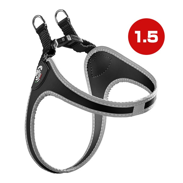 �ե��åӥ� ��ե쥯�ƥ��� 1.5 �֥�å� ����̵��