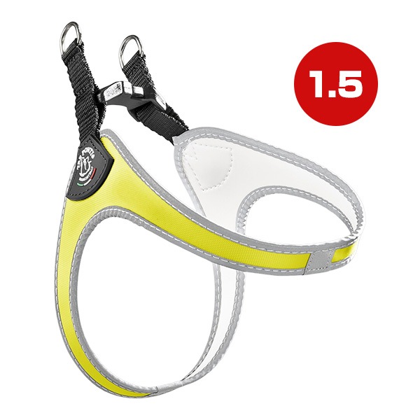 �ե��åӥ� �ե륪 1.5 �������� ����̵��