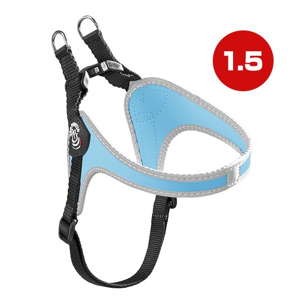 �ե��åӥ� �����㥹���֥� ��ե쥯�ƥ��� 1.5 �������֥롼 ����̵��