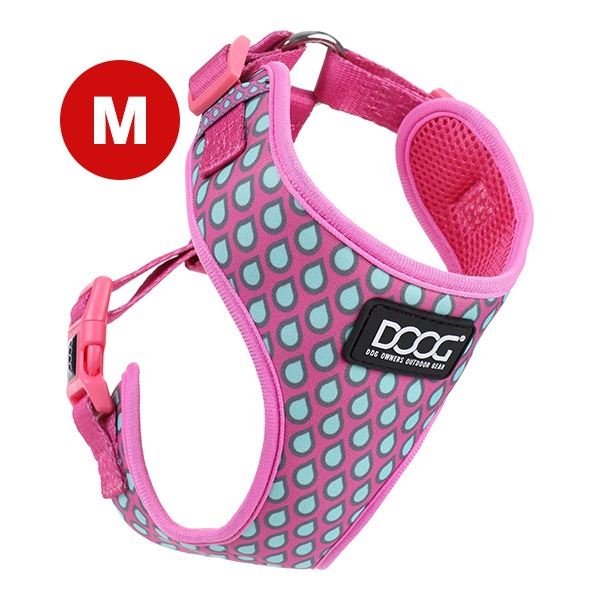 DOOG �ͥ��ե�å��� �ϡ��ͥ� �� ��� �����ࡼ�� ����̵��