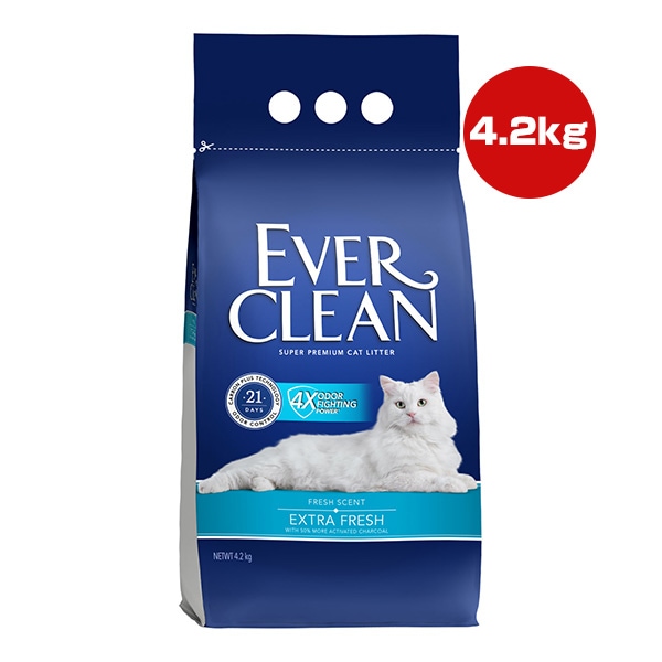 ���С����꡼�� �������ȥ�ե�å��� ˧�᥿���� 4.2kg ���찡���