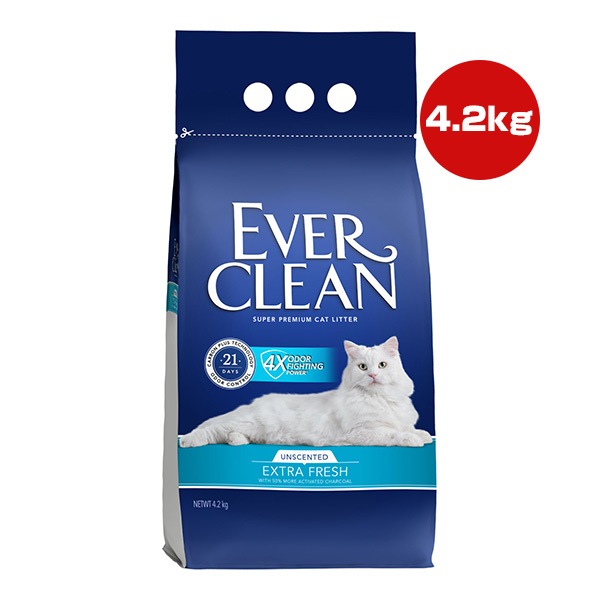 ���С����꡼�� �������ȥ�ե�å��� ̵�᥿���� 4.2kg ���찡���
